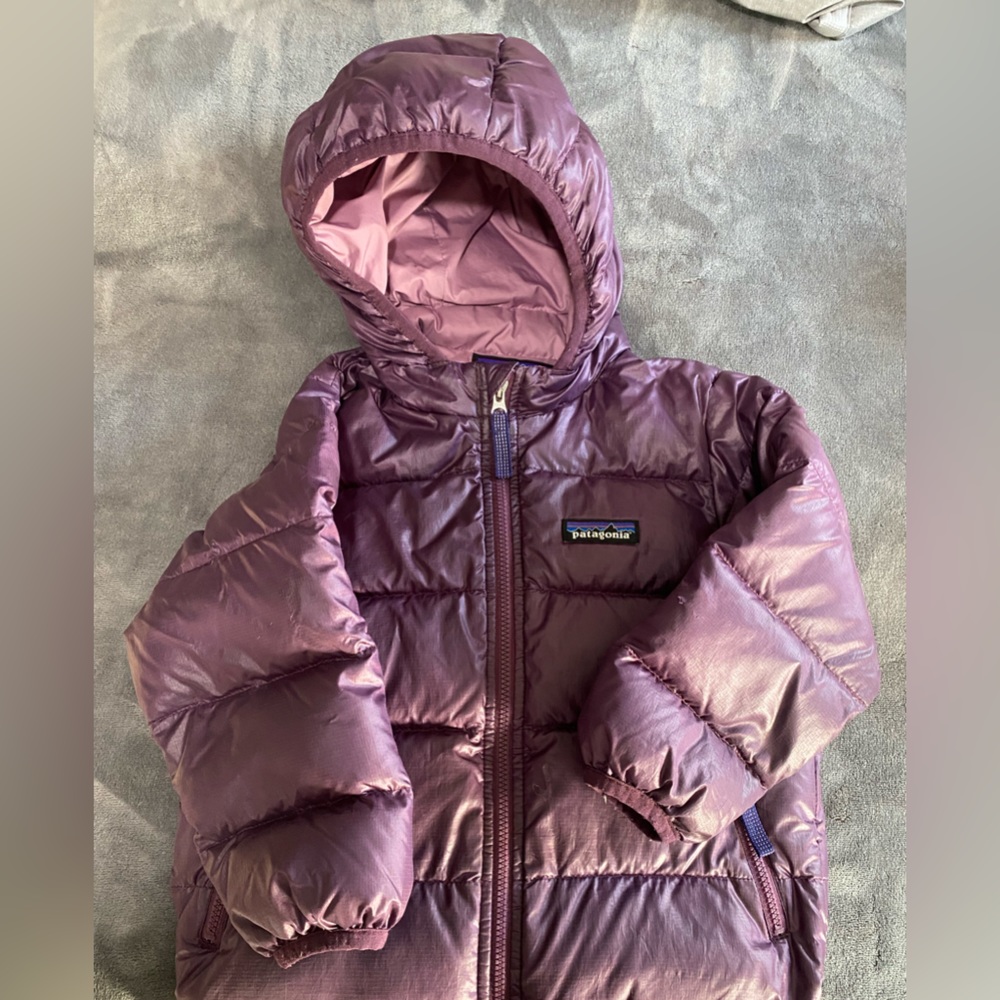 Patagonia Hi-Loft Down Sweater Hoody